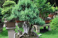 875-Suzhou,19 luglio 2014
